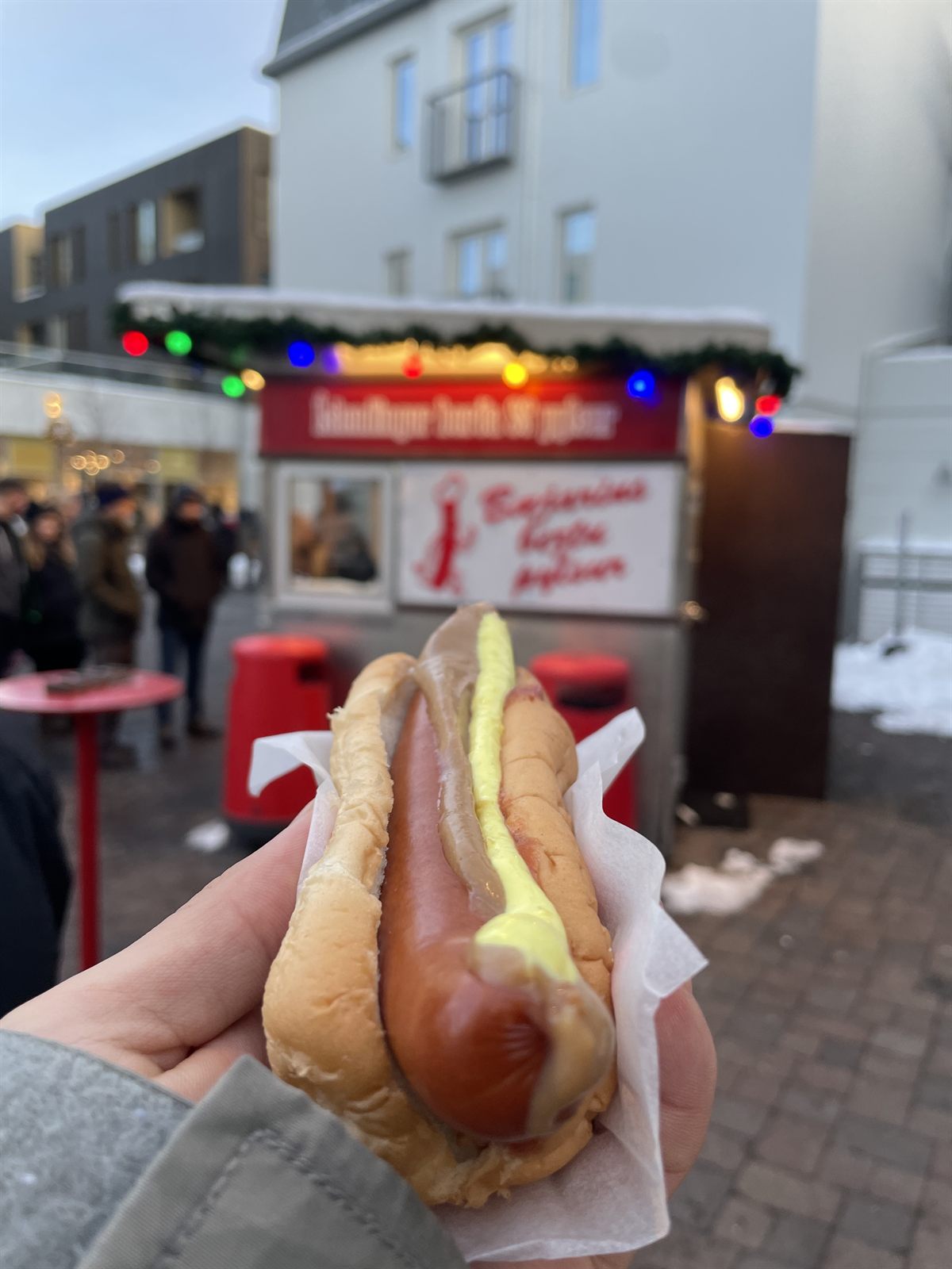 アイスランド名物のホットドッグ