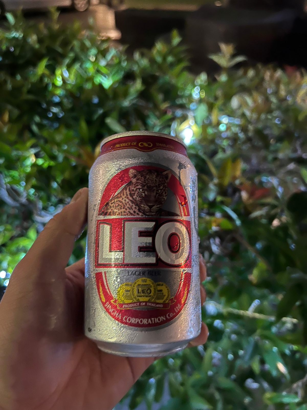 LEOビールの缶を持つ手