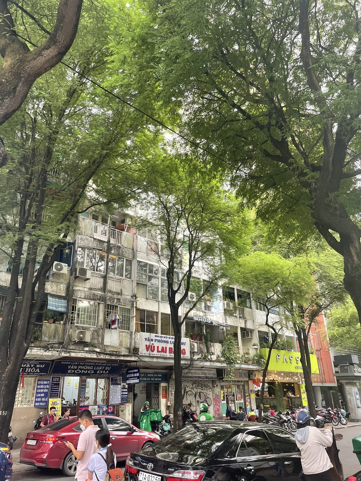 街路樹に覆われた通りと古い集合住宅